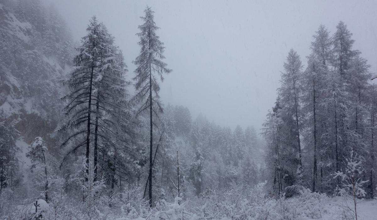 Snowshoeing in Risoul 
